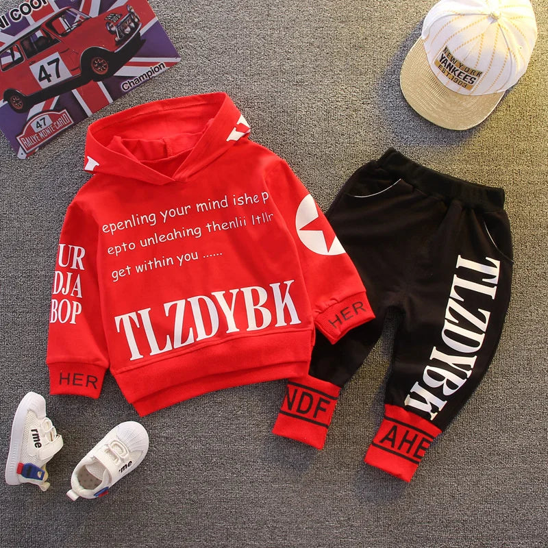 Toddler Hoodie & Pants Set