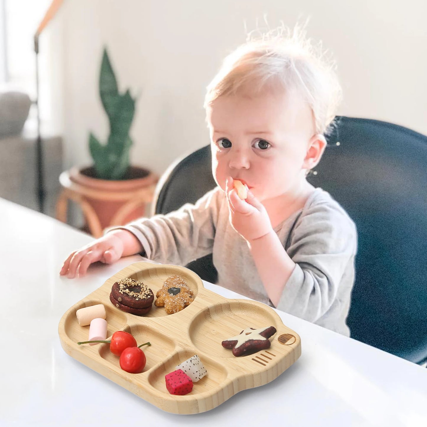 Nibble Nest Silicone & Wood Feeding Set