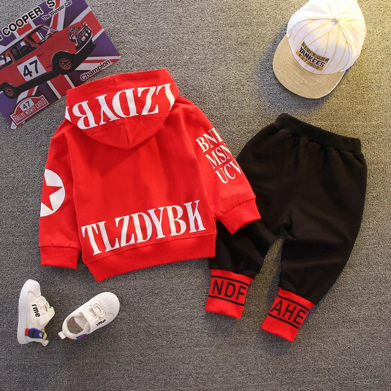 Toddler Hoodie & Pants Set