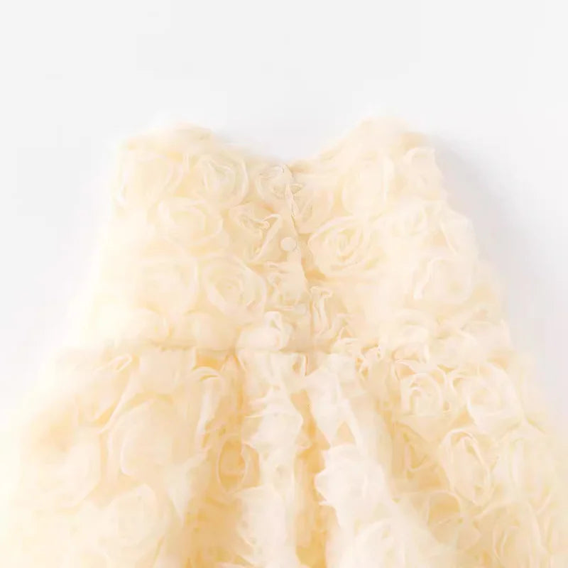Baby Girl Rose Princess Dress