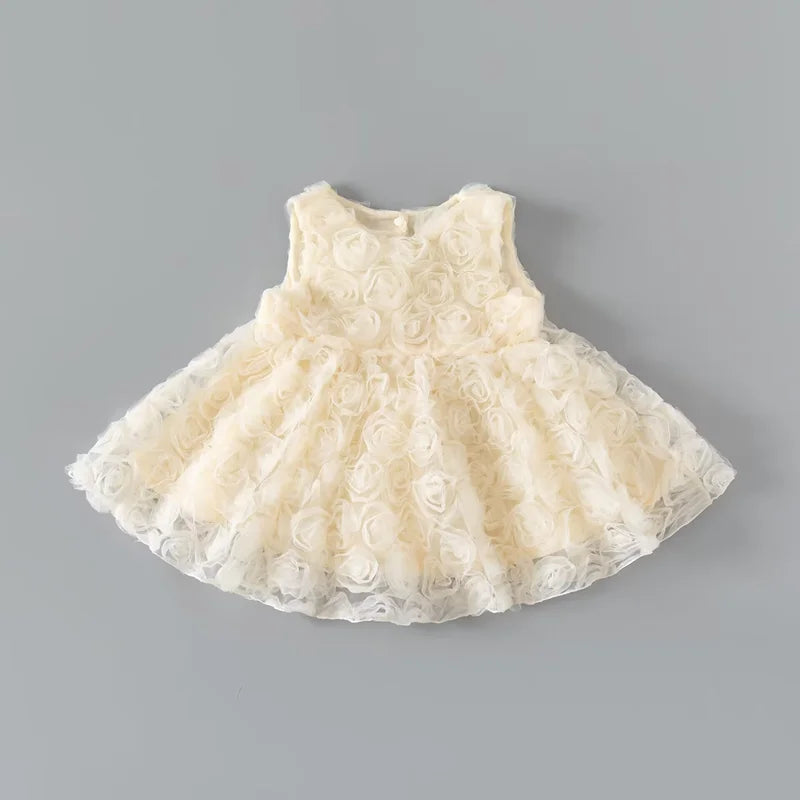 Baby Girl Rose Princess Dress