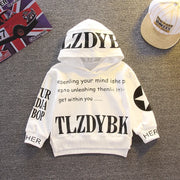 Toddler Hoodie & Pants Set