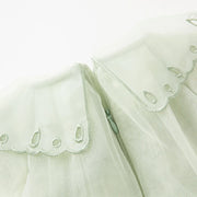 Dave Bella Spring Princess Dress