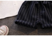 Toddler Boys' Formal Party Outfit