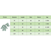 Turtle/Dinosaur Toddler Boys Rash Guard Swimsuit