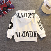 Toddler Hoodie & Pants Set