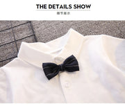 Toddler Boys' Formal Party Outfit