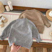 Cozy Toddler Boys Pullovers