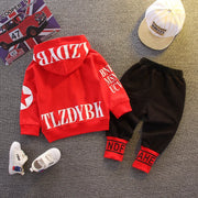 Toddler Hoodie & Pants Set