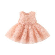 Baby Girl Rose Princess Dress
