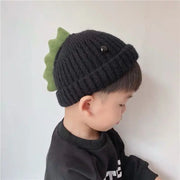 Cute Bear Ear Protection Knitted Winter Hat