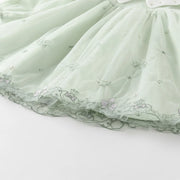 Dave Bella Girls' Elegant Princess Dress